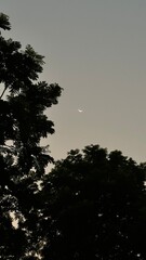 Night sky and new moon