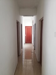 Apartment renovation interior showing wall repainting, lighting setup, furniture arrangement, and bathroom upgrade in clean modern living space