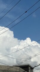 summer sky with electric wire