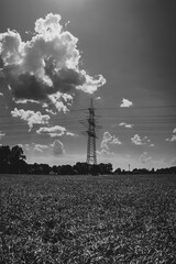 Die Stromleitung