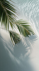 White sand beach with palm leaves and water ripples, sunlight shining on the sea surface. Closeup. Minimal concept.