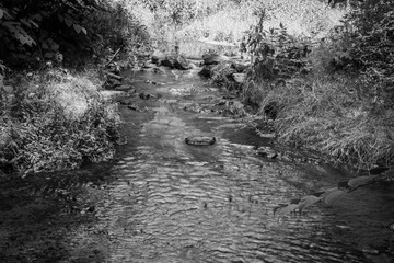 Der breite Bachlauf