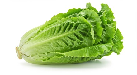 Fototapeta premium Crisp romaine lettuce isolated offers a fresh healthy choice for salads and nutritious meals emphasizing its organic and raw qualities