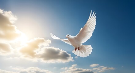 Obraz premium White Dove in the Sky for International Day of Peace