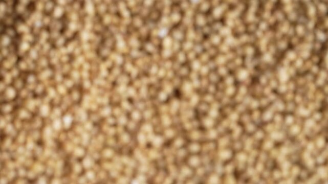 Macro video of jowar or great millets. Close up video of sorghum on rotating disk.