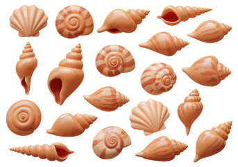 3D assorted seashell collection on white background, high-resolution glossy summer beach decorative prop PNG