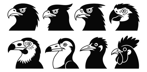 Silhouettes of eight bird heads including eagle, hawk, parrot and rooster in detailed black vector style isolated on white background