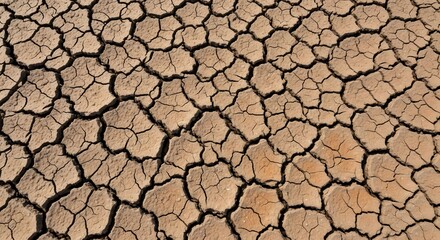 Arid Landscape Cracked Earth Texture Displaying Drought and Environmental Impact.