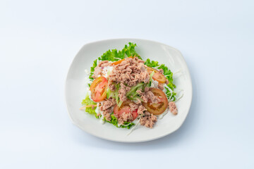 Tuna Salad with Assorted Vegetables
