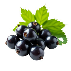 Fototapeta premium Fresh ripe blackcurrants with green leaves isolated on transparent background
