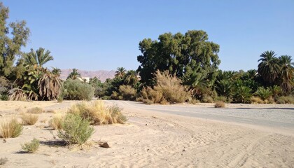 Desert road with lush vegetation, mountains in the distance