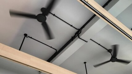 two ceiling fans with black blades are captured in motion, creating a blur effect against the white ceiling background.