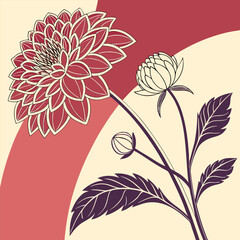 Elegant dahlia flower vector illustration set with vintage color palettes