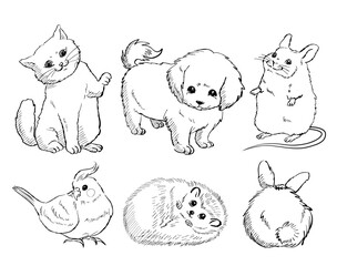 Cartoon vector illustration of a cute collection of hand drawn domestic pet animals, ideal for children’s products, educational materials and decor