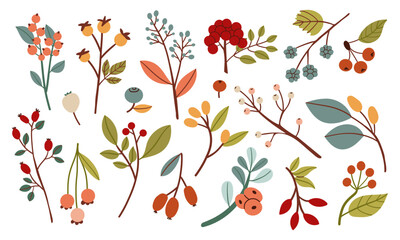 Simple autumn berries and twigs in warm red, orange, green and yellow tones. Different shapes and leaves make this perfect for seasonal designs and cozy fall themes. Flat design vector illustration.