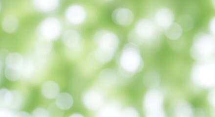 Fototapeta premium Soft green nature background