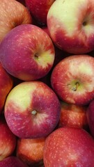 Close up pile of tasty fresh apples sold at the market as a background.