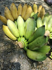 bunch of bananas