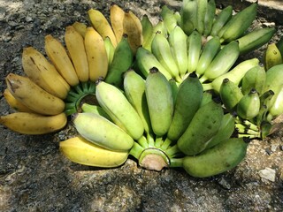 bunch of bananas