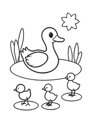 Ducklings Swimming At Peaceful Pond Outline