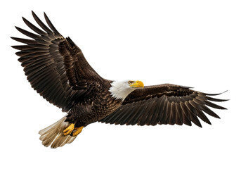 Obraz premium The eagle is in mid-air, its wings outstretched and slightly angled
