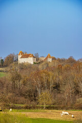 Castle of Saint Firmin rising above the trees in Saone et Loire, Bourgogne Franche Comte, France