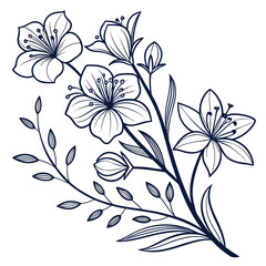 A beautiful cherry blossom branch is isolated on white background