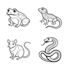 Frog, Lizard, Rat, Snake