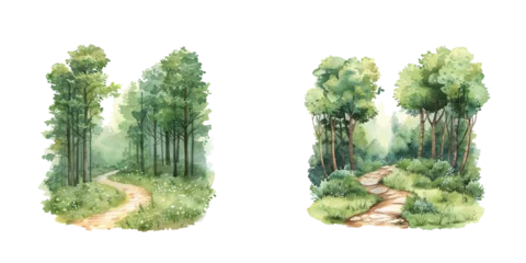 Selbstklebende Fototapeten Olive serene forest path watercolor vector illustration  © Dar