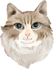 watercolor cat persian