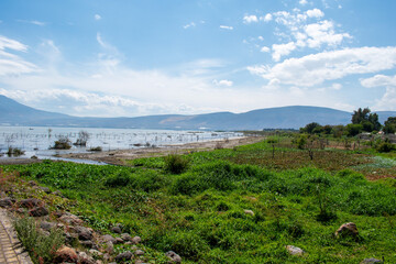 Scenic view of Lake Chapala shoreline with grass, wetlands and distant hills in Jocotepec, Mexico