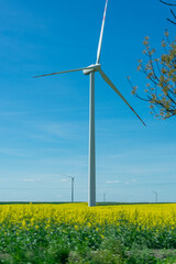 Wind turbine is standing in a field of yellow flowers. There are two other wind turbines in the background.