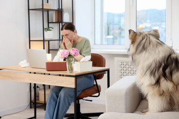 Woman suffering from allergy while working and her dog at home, selective focus