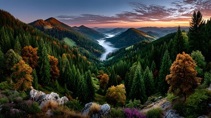 Mountain valley with fog and sunrise high resolution picture
