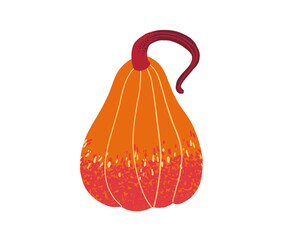 Orange and red ornamental gourd with curved stem, isolated on white background