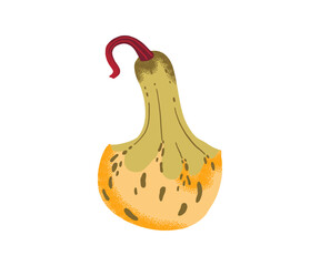 Yellow and green decorative gourd with speckled texture and curved stem, isolated on white background.