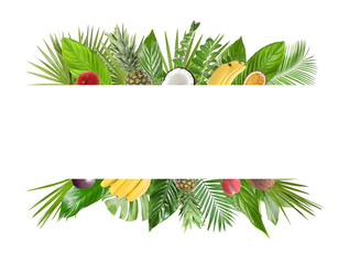 Fresh tropical fruits and green leaves on white background. Space for text