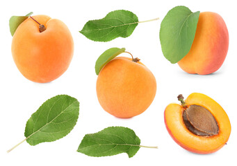 Fresh ripe apricot fruits and green leaves on white background, collage