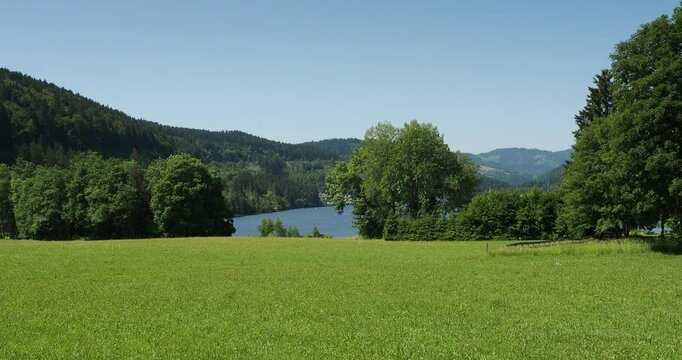 Seelandschaft im S&uuml;dschwarzwald. Gr&uuml;ne Wiese am Nordufer mit Blick auf den Titisee von der Seestra&szlig;e zwischen Seeb&uuml;hne und Seebauernhof in Titisee-Neustadt aus gesehen
