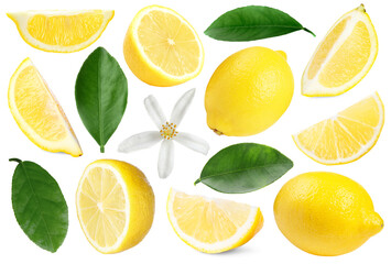 Fototapeta premium Fresh lemons, green leaves and flower on white background, collage. Citrus fruit