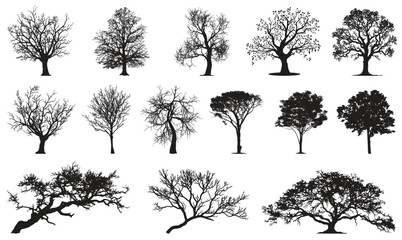 Trees collection silhouette, forest firs and spruces black shapes, wild nature trees templates.