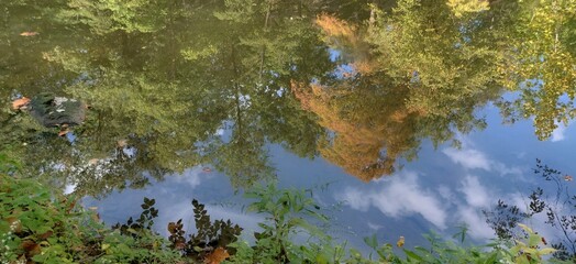 Autumn Water Reflections