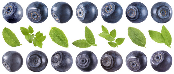 Fresh bilberries and green leaves isolated on white, set