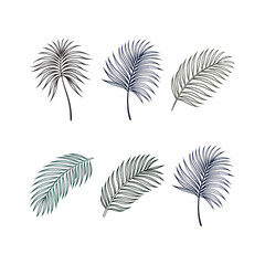 Fototapeta premium Assorted Palm Leaf Illustrations in Black and Green on White Background