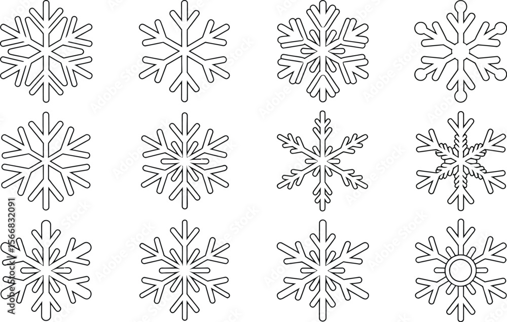 Poster a collection of twelve unique snowflake designs arranged in a rectangular grid on a white background