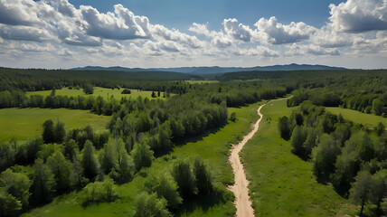 Obraz premium Drone shot of a secluded green valley with a narrow dirt trail leading through tall trees and open meadows