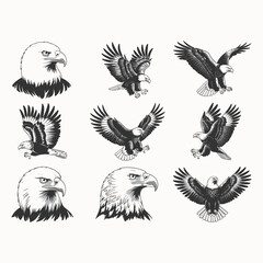 Obraz premium Collection of American Eagle Designs, Featuring Detailed Heads, Soaring Eagles, and National Symbols