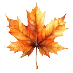 A beautiful autumn leaf in vibrant orange and yellow showcases nature's beauty