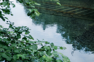 湖底に沈むレール