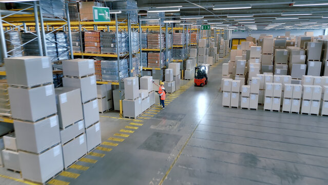 In a busy cargo warehouse, workers manage towering goods, ensuring global supply chains. A worker signals a forklift, showcasing industrial logistics precision.